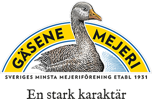 logo (1)